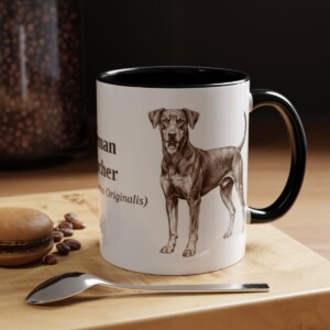 11oz German Pinscher Latin Mug, Black, lifestyle photo