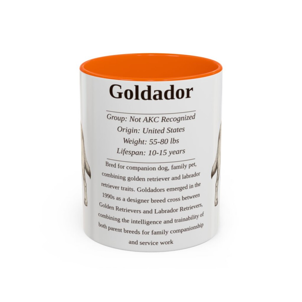11oz Goldador Mug, Orange, front view