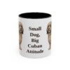 11oz Funny Havanese Mug, Black, front view