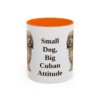 11oz Funny Havanese Mug, Orange, front view