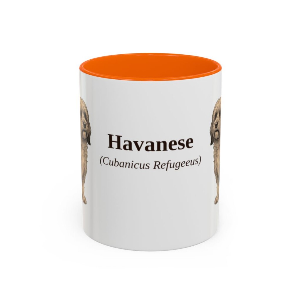 11oz Havanese Latin Mug, Orange, front view