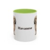 11oz Havanese Mug, Light Green, front view