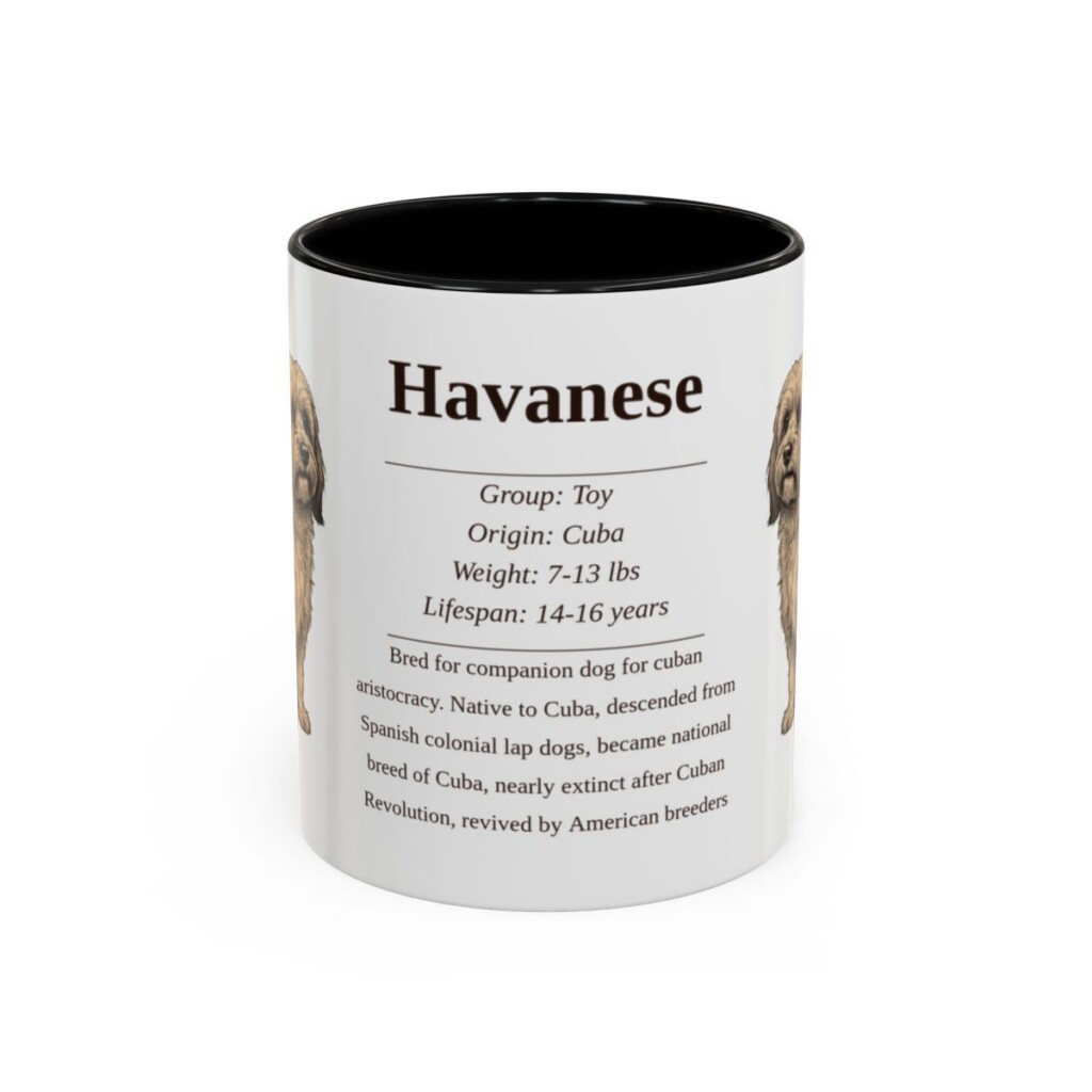11oz Havanese Mug, Black, front view