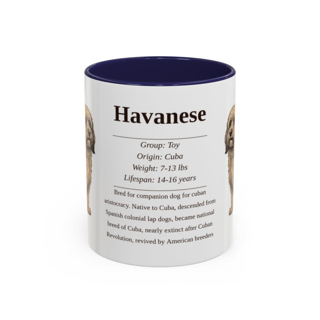 11oz Havanese Mug, Navy, front view