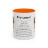 11oz Havanese Mug, Orange, front view