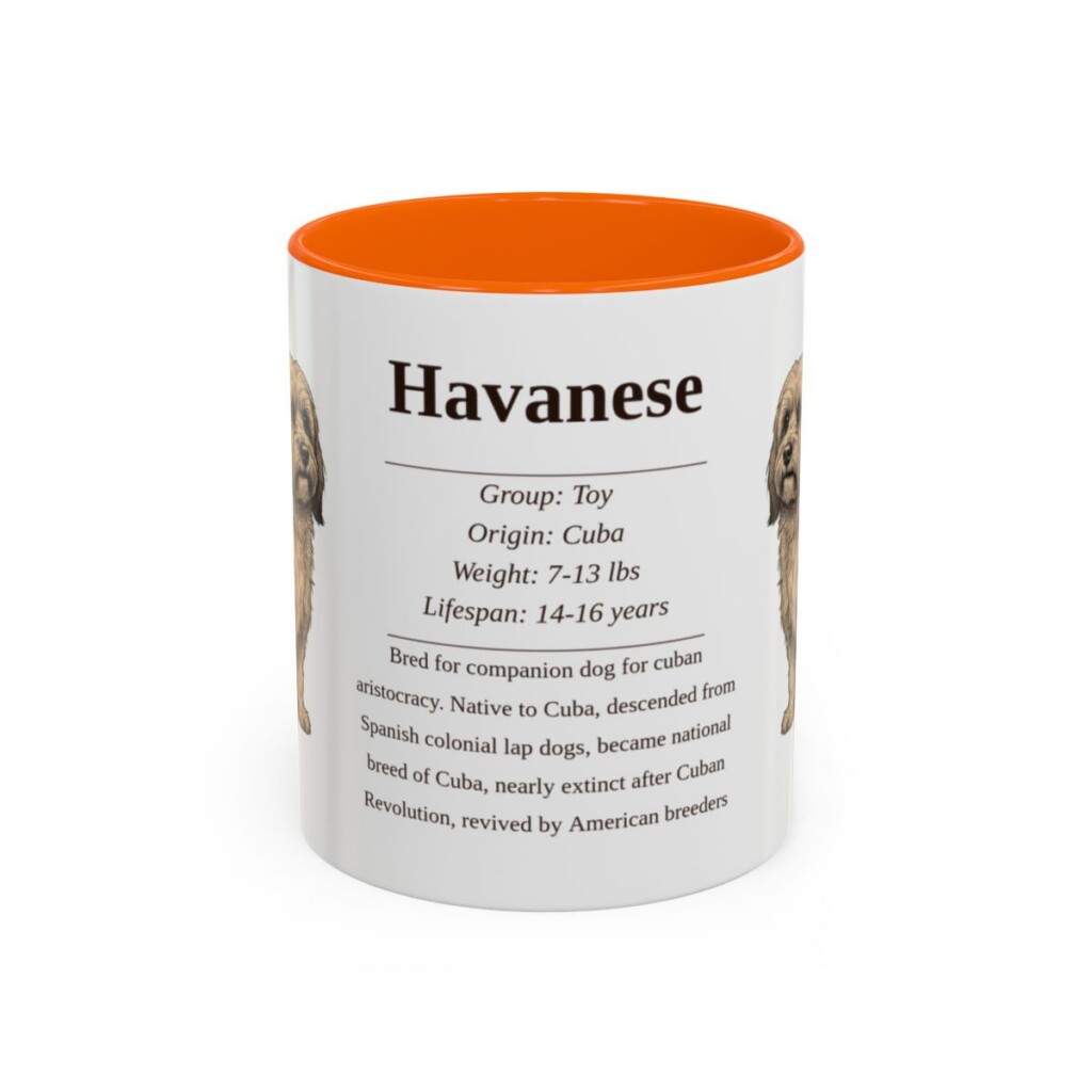 11oz Havanese Mug, Orange, front view