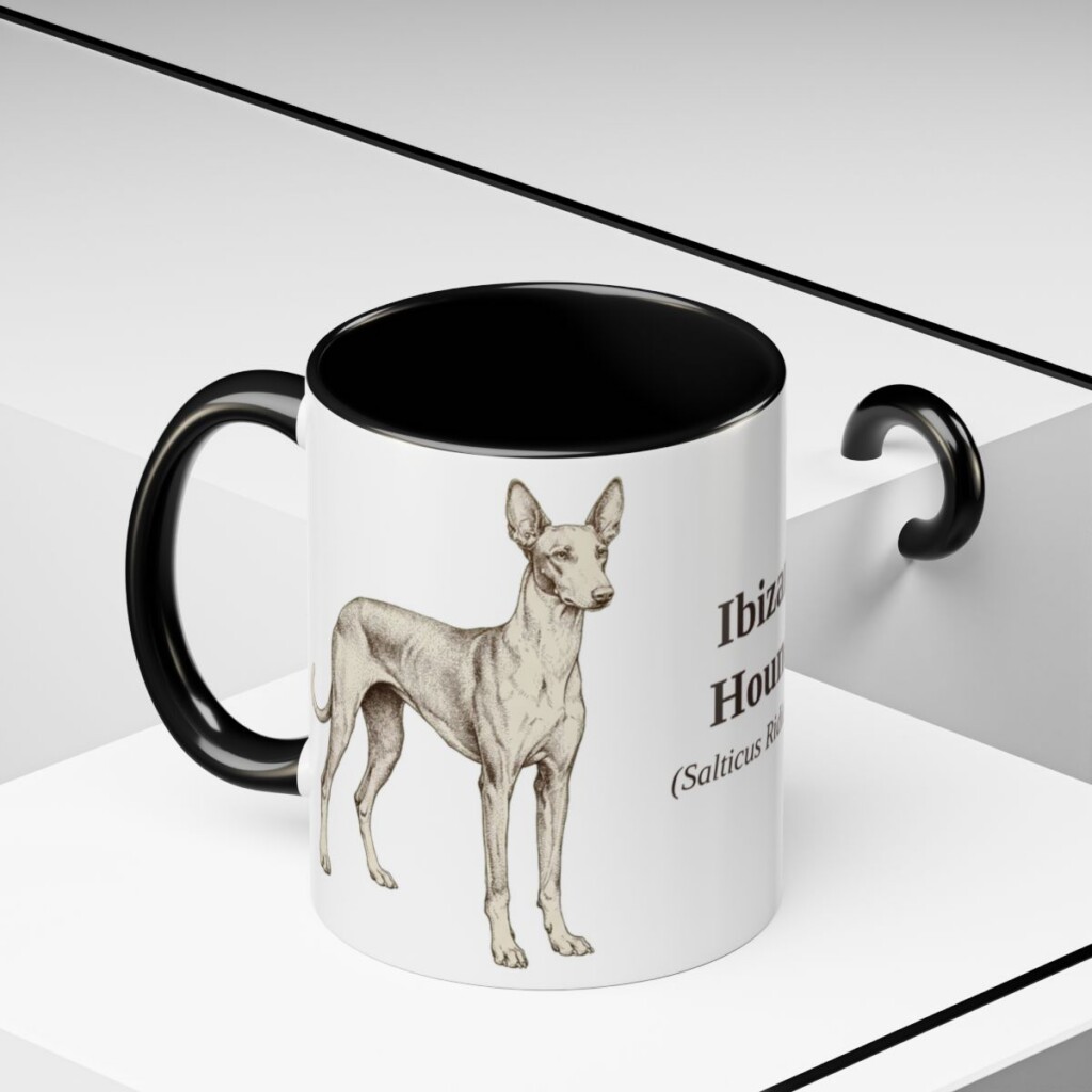 11oz Ibizan Hound Latin Mug, Black, lifestyle photo