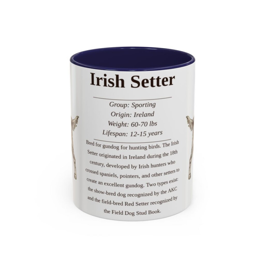 11oz Irish Setter Mug, Navy, front view