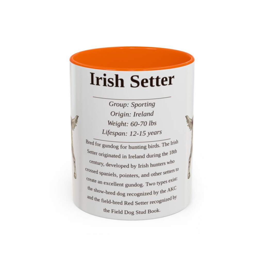 11oz Irish Setter Mug, Orange, front view