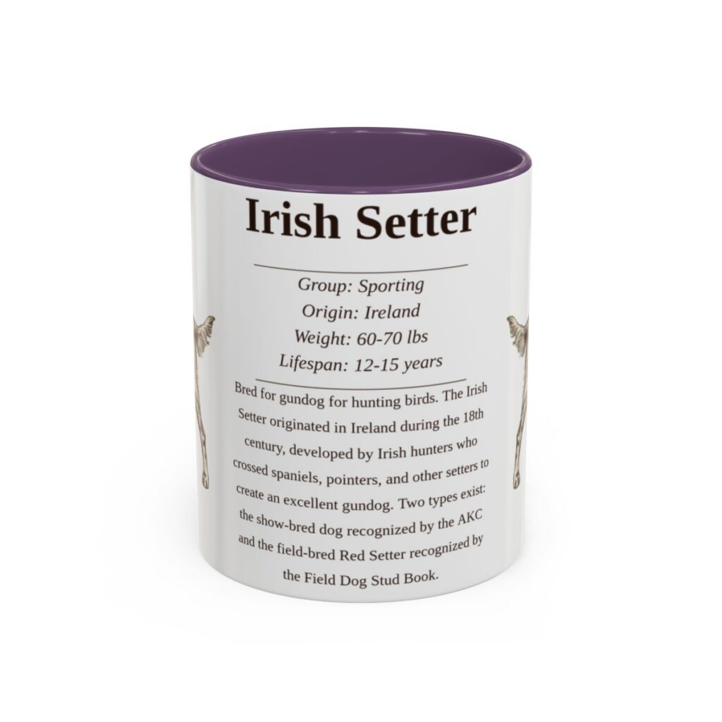 11oz Irish Setter Mug, Purple, front view