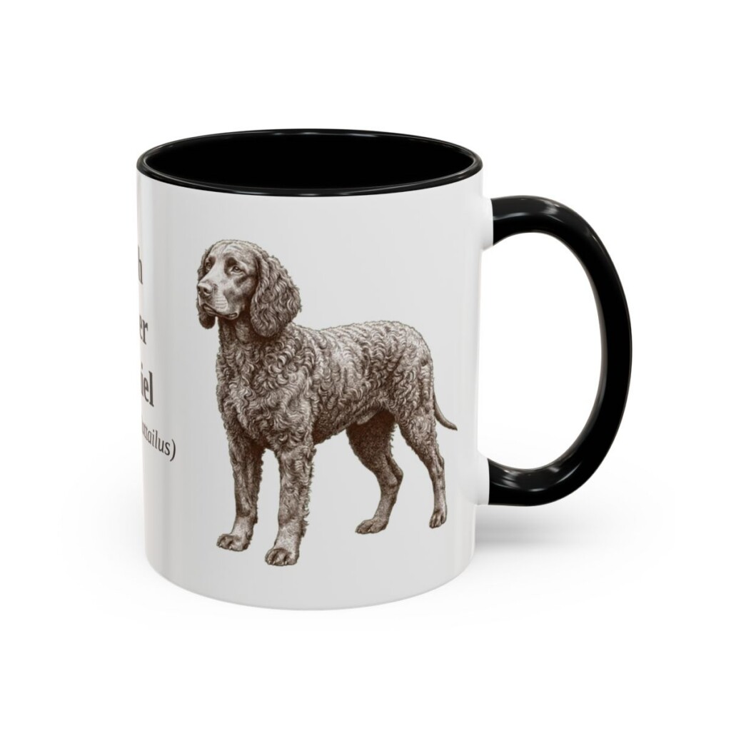 11oz Irish Water Spaniel Latin Mug, Black, right side view
