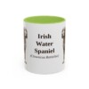 11oz Irish Water Spaniel Latin Mug, Light Green, front view