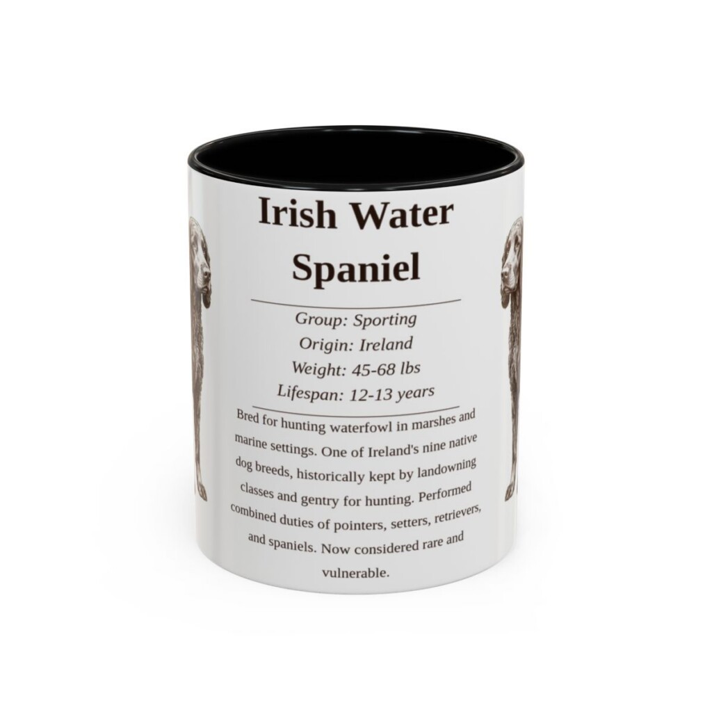 11oz irish water spaniel mug, Black