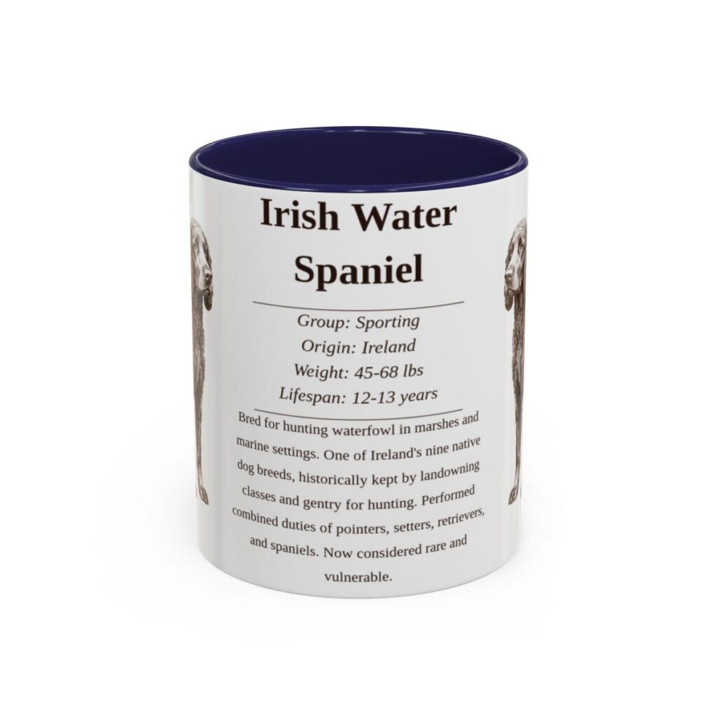 11oz irish water spaniel mug, Navy