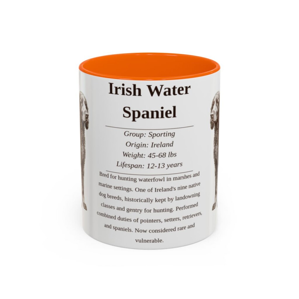11oz irish water spaniel mug, Orange