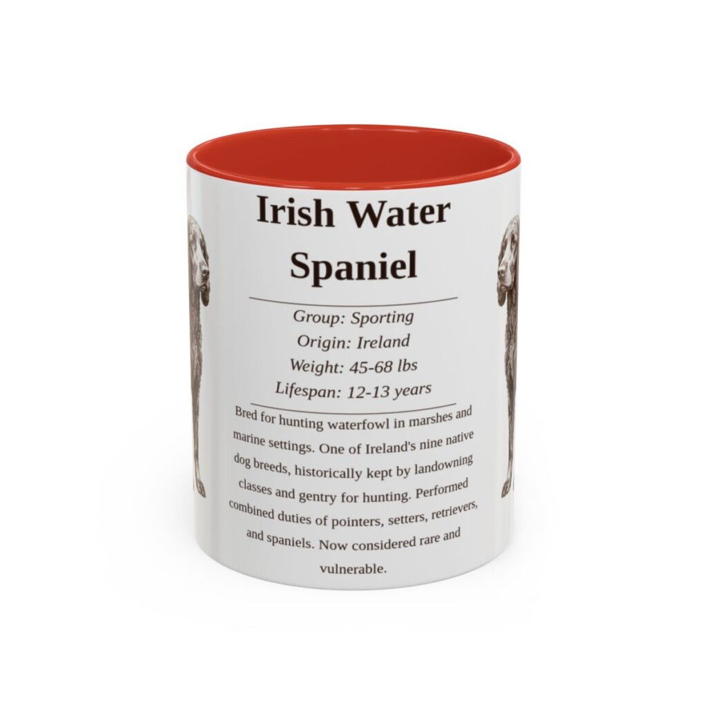 11oz irish water spaniel mug, Red