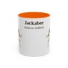 11oz Jackabee Latin Mug, Orange, front view