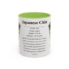 11oz Japanese Chin Mug, Light Green, front view