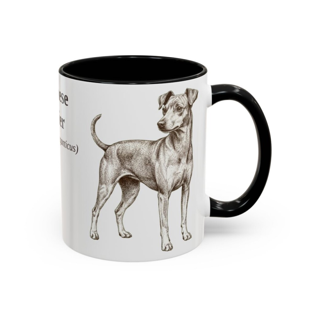 11oz Japanese Terrier Latin Mug, Black, right side view