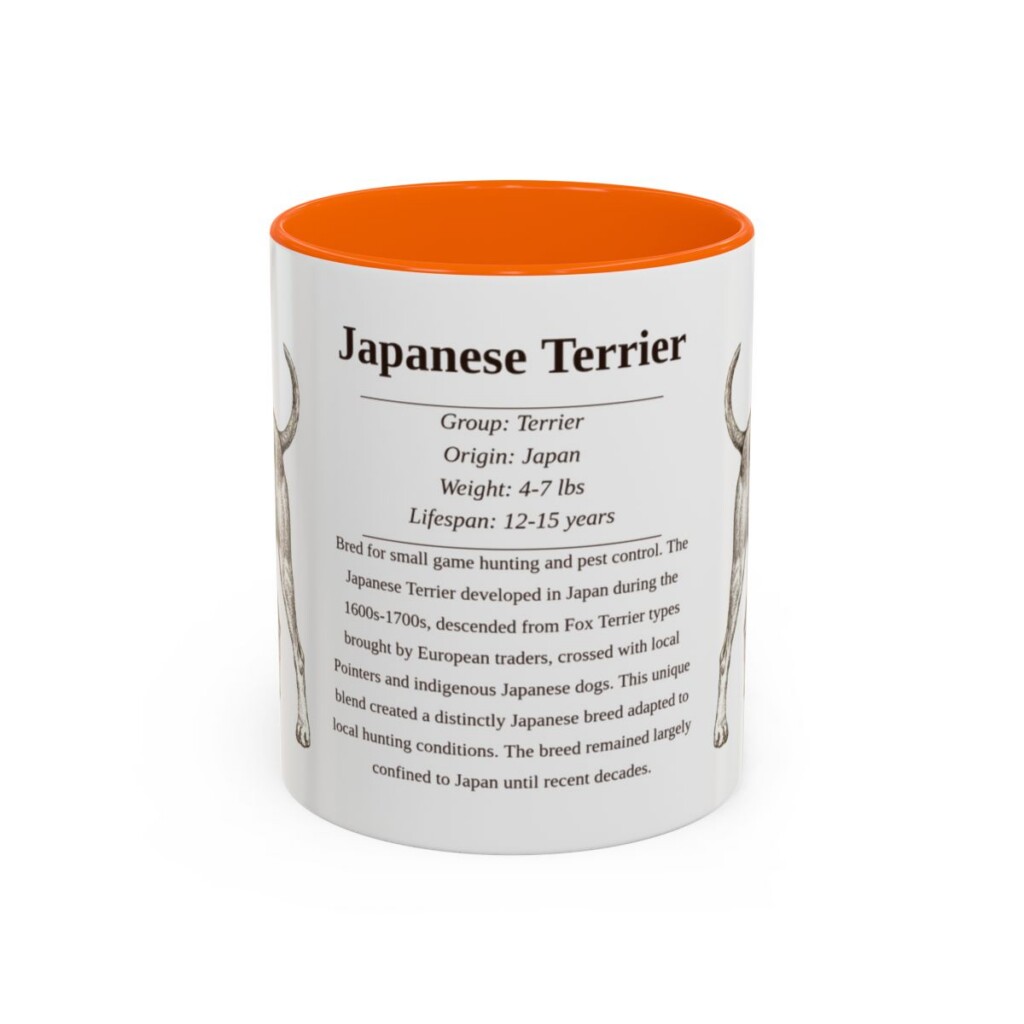 11oz Japanese Terrier Mug, Orange, front view