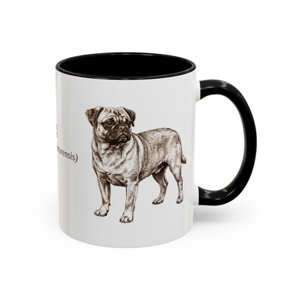 11oz Jug Latin Mug, Black, right side view