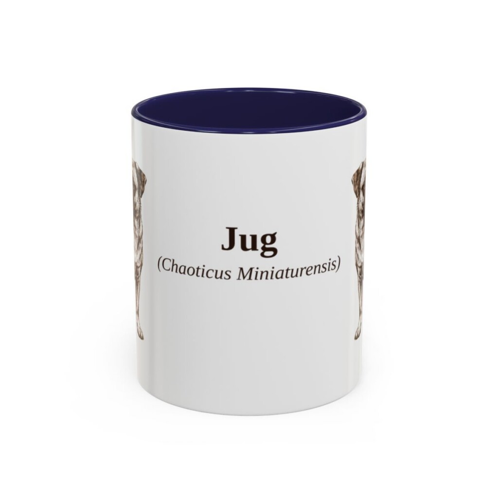11oz Jug Latin Mug, Navy, front view