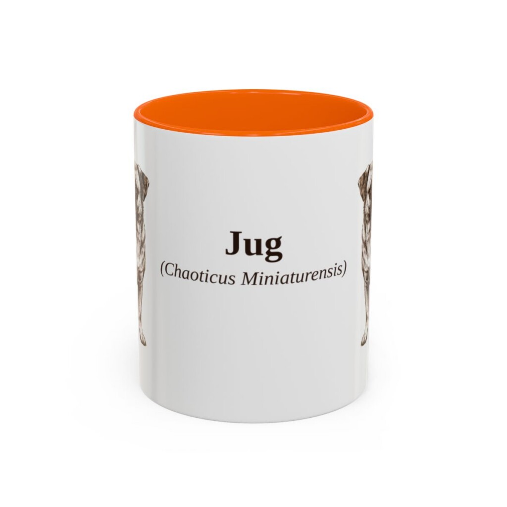 11oz Jug Latin Mug, Orange, front view