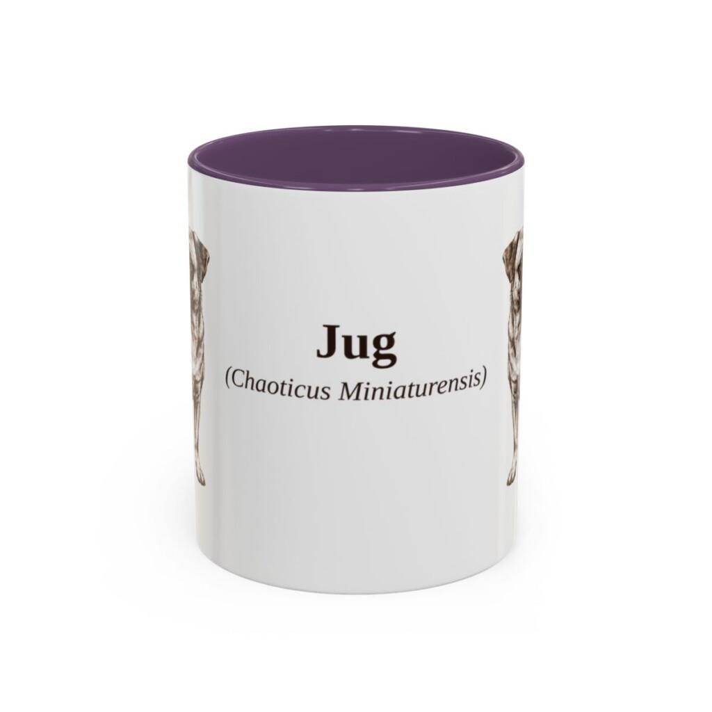 11oz Jug Latin Mug, Purple, front view