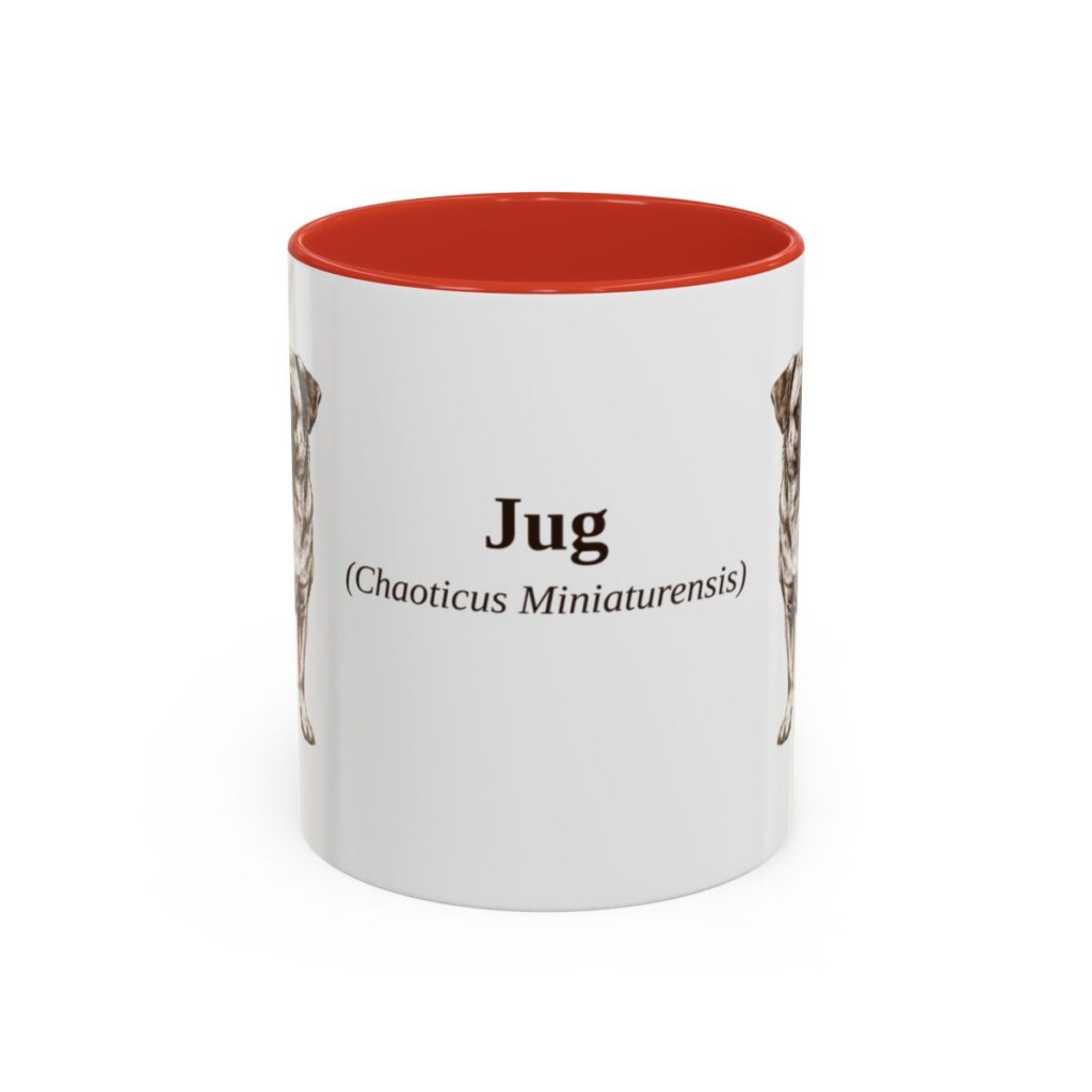 11oz Jug Latin Mug, Red, front view