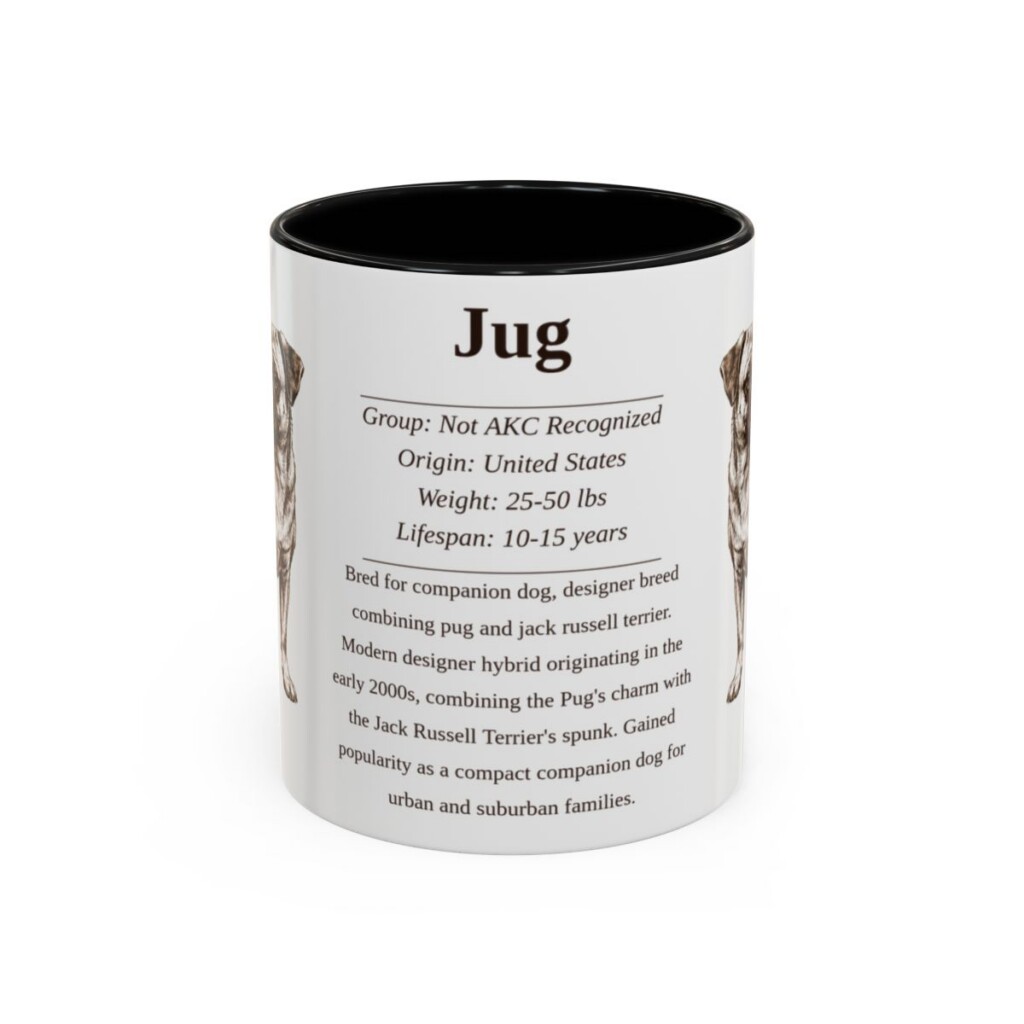 11oz Jug Mug, Black, front view