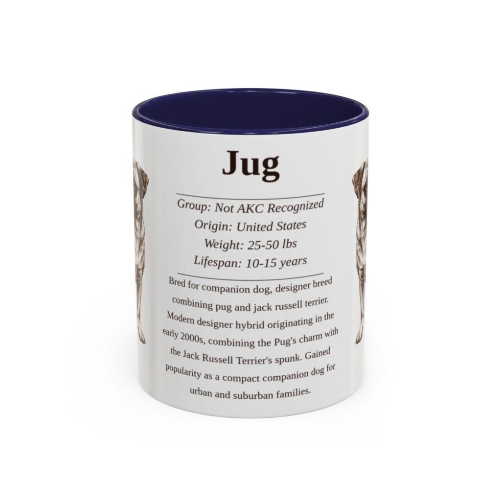 11oz Jug Mug, Navy, front view