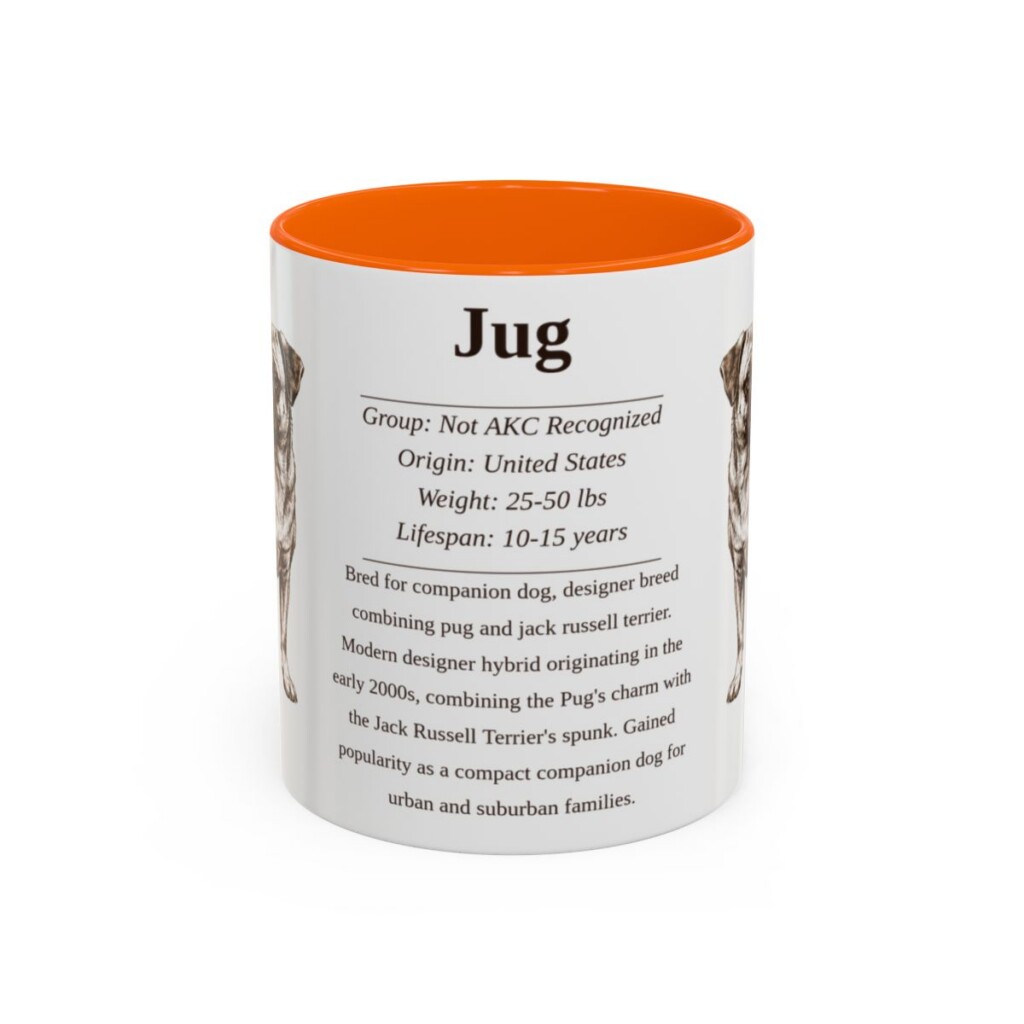 11oz Jug Mug, Orange, front view
