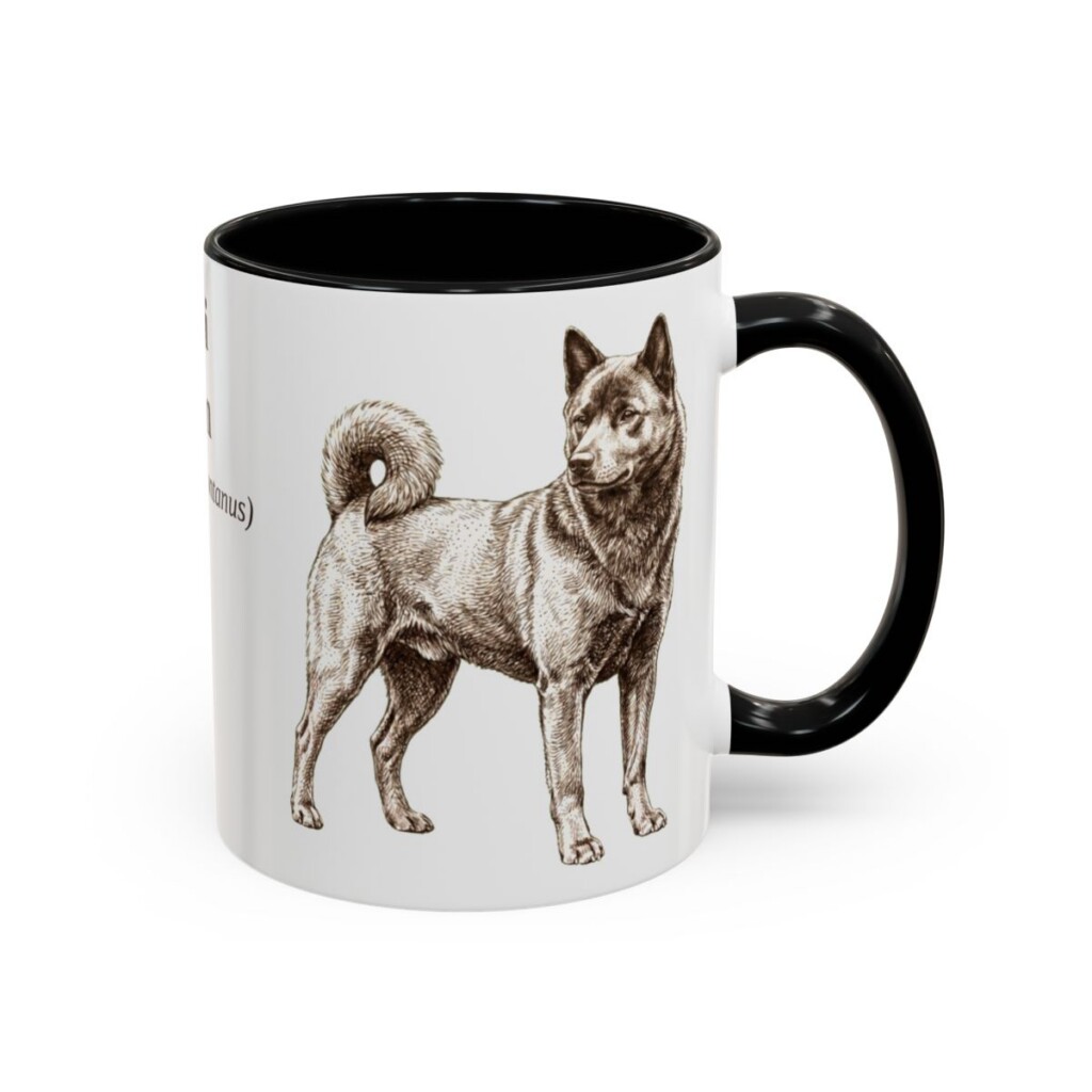 11oz Kai Ken Latin Mug, Black, right side view