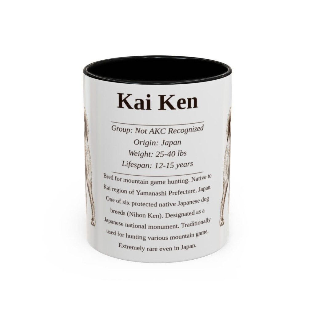 11oz Kai Ken Mug, Black, front view