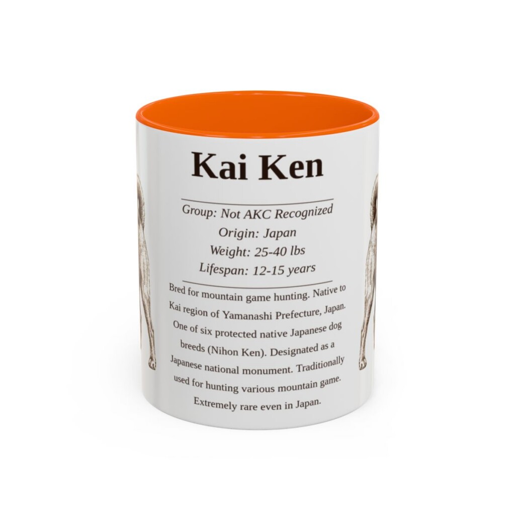11oz Kai Ken Mug, Orange, front view