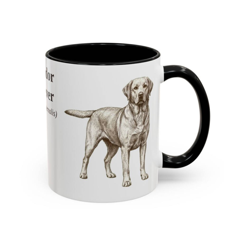 11oz-labrador-retriever-mug-latin-black-right 11oz Labrador Retriever Latin Mug, Black, right side view