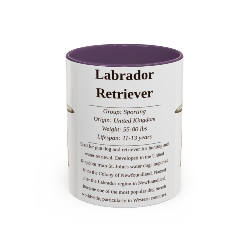 11oz Labrador Retriever Mug, Purple, front view