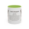 11oz Lagotto Romagnolo Mug, Light Green, front view