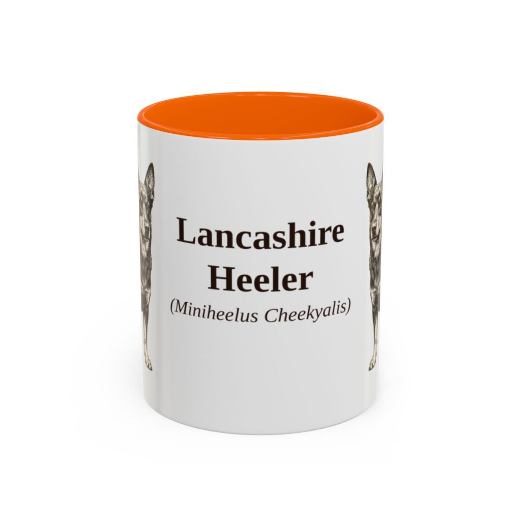 11oz-lancashire-heeler-mug-latin-orange 11oz Lancashire Heeler Latin Mug, Orange, front view
