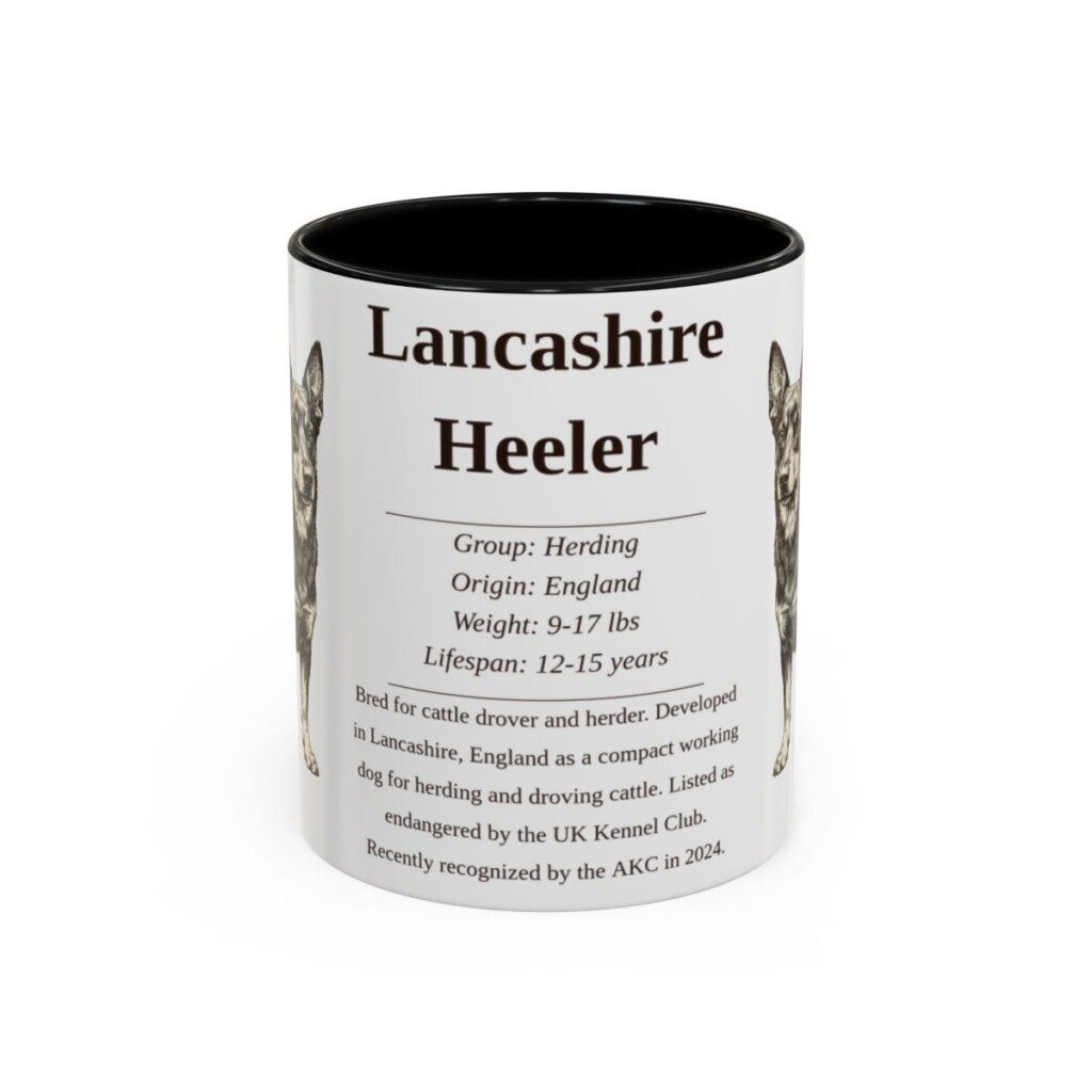 11oz Lancashire Heeler Mug, Black, front view