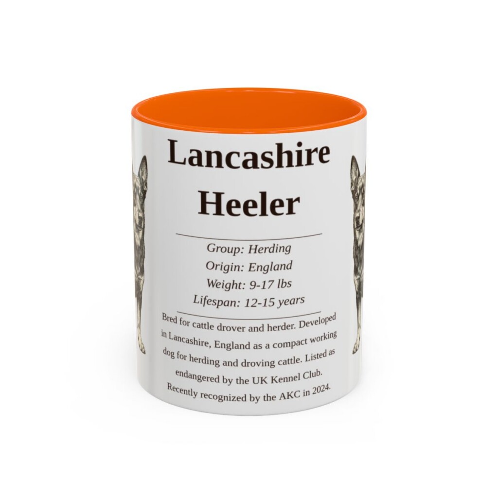 11oz Lancashire Heeler Mug, Orange, front view