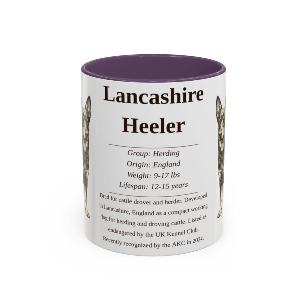 11oz Lancashire Heeler Mug, Purple, front view