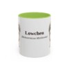 11oz Lowchen Latin Mug, Light Green, front view