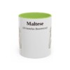 11oz Maltese Latin Mug, Light Green, front view