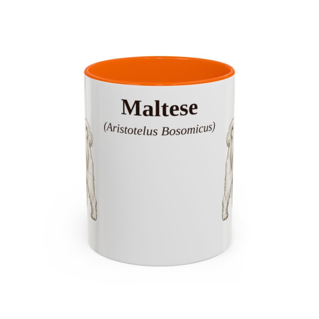 11oz Maltese Latin Mug, Orange, front view