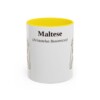 11oz Maltese Latin Mug, Yellow, front view