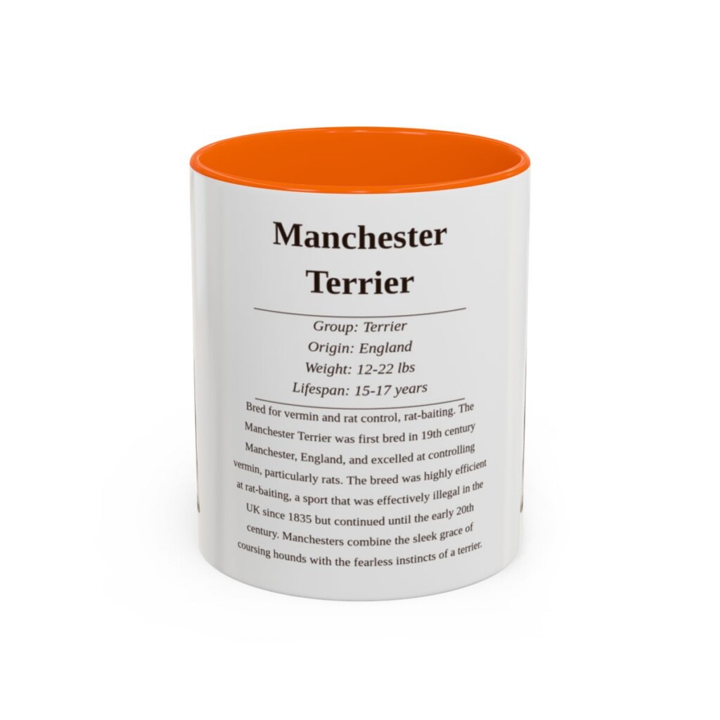 11oz Manchester Terrier Mug, Orange, front view