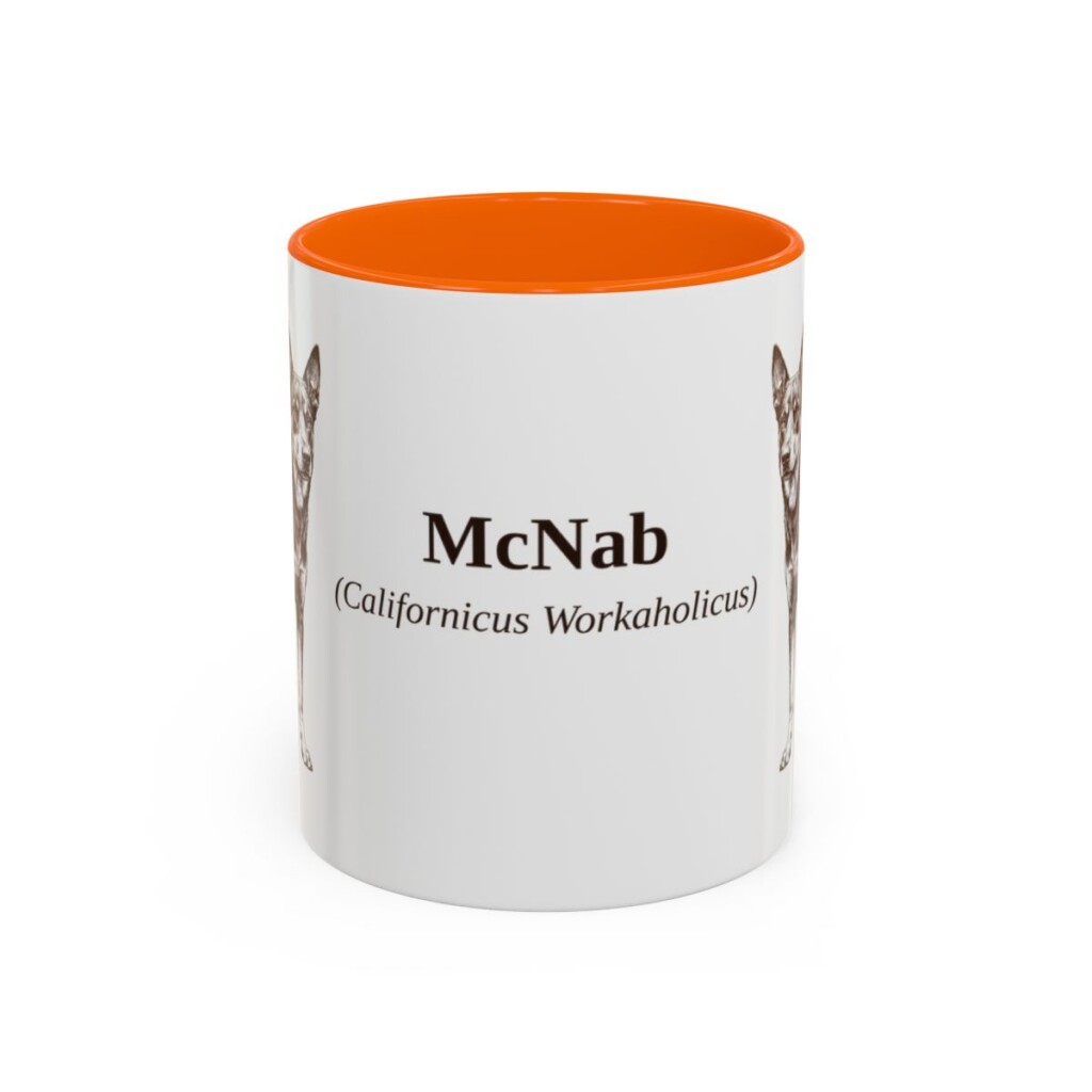 11oz McNab Latin Mug, Orange, front view