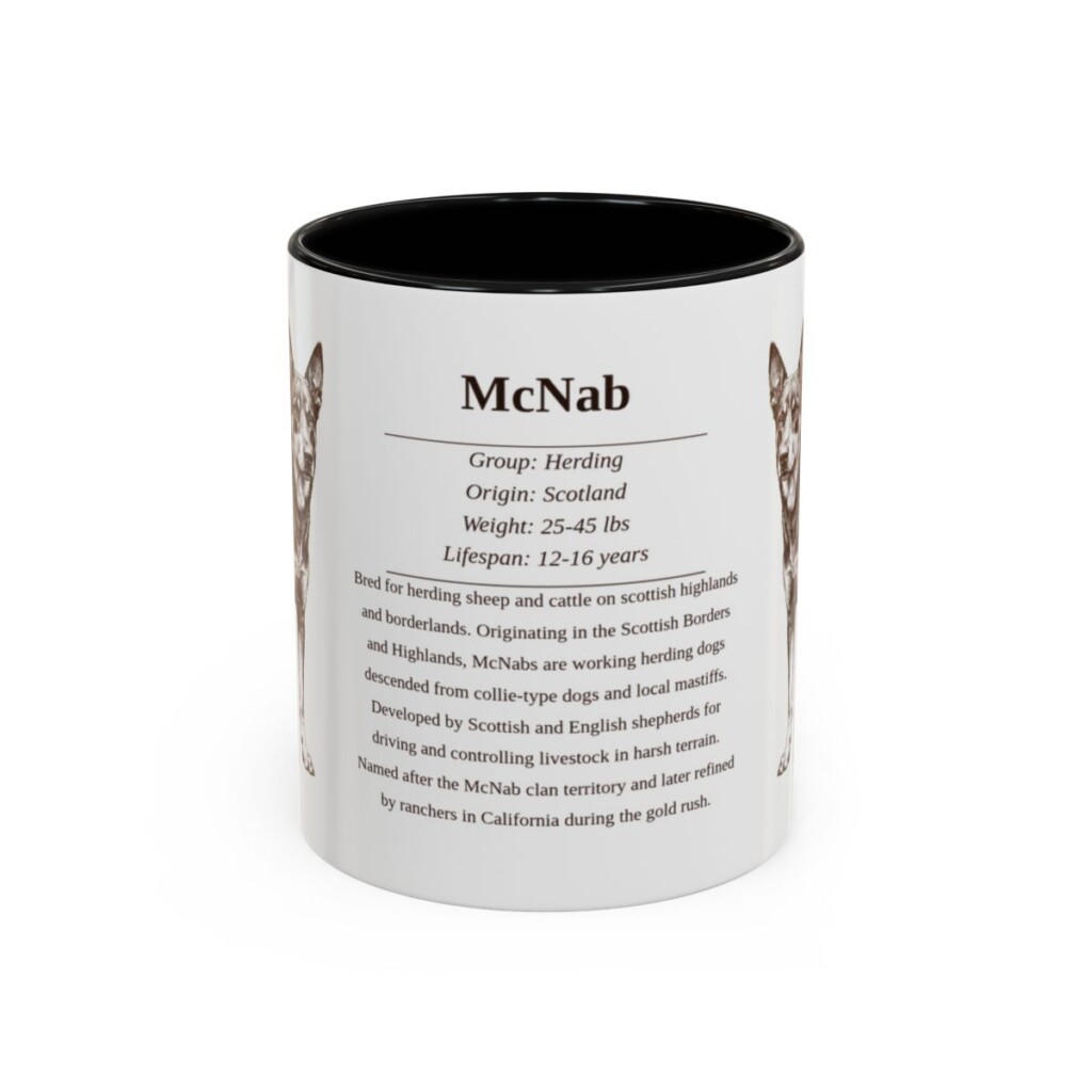 11oz McNab Mug, Black, front view