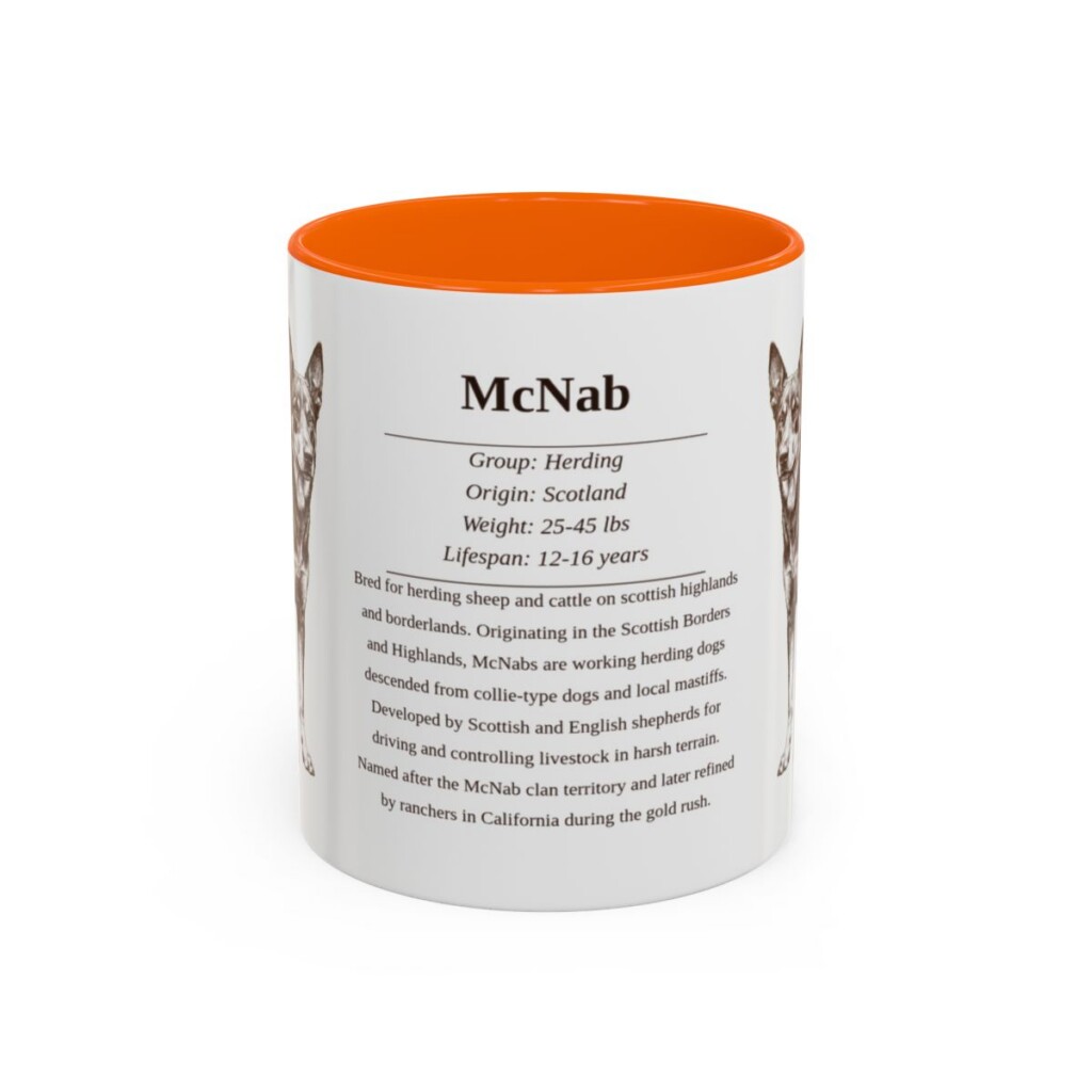 11oz McNab Mug, Orange, front view
